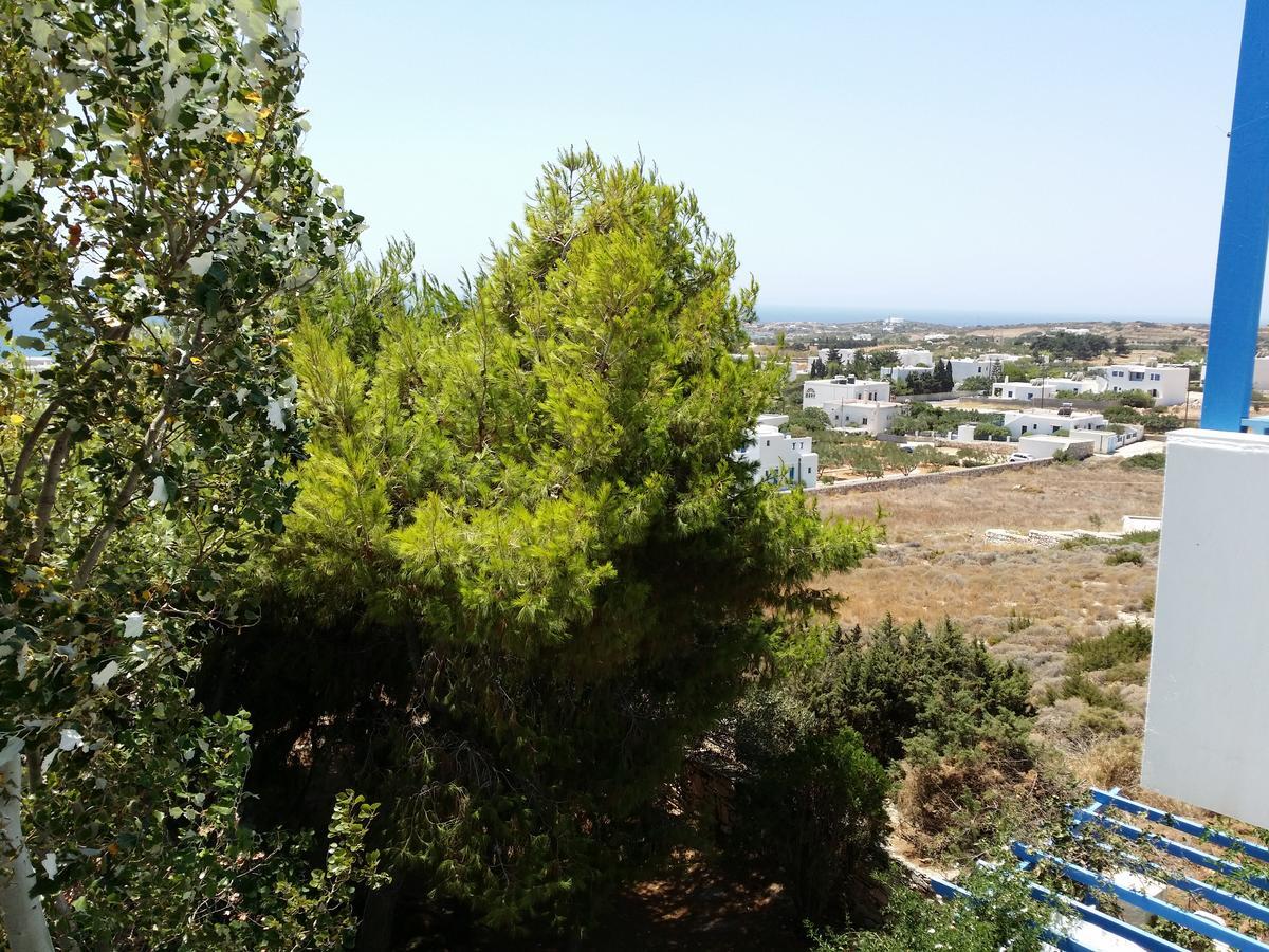 Studios Panorama Дриос Экстерьер фото