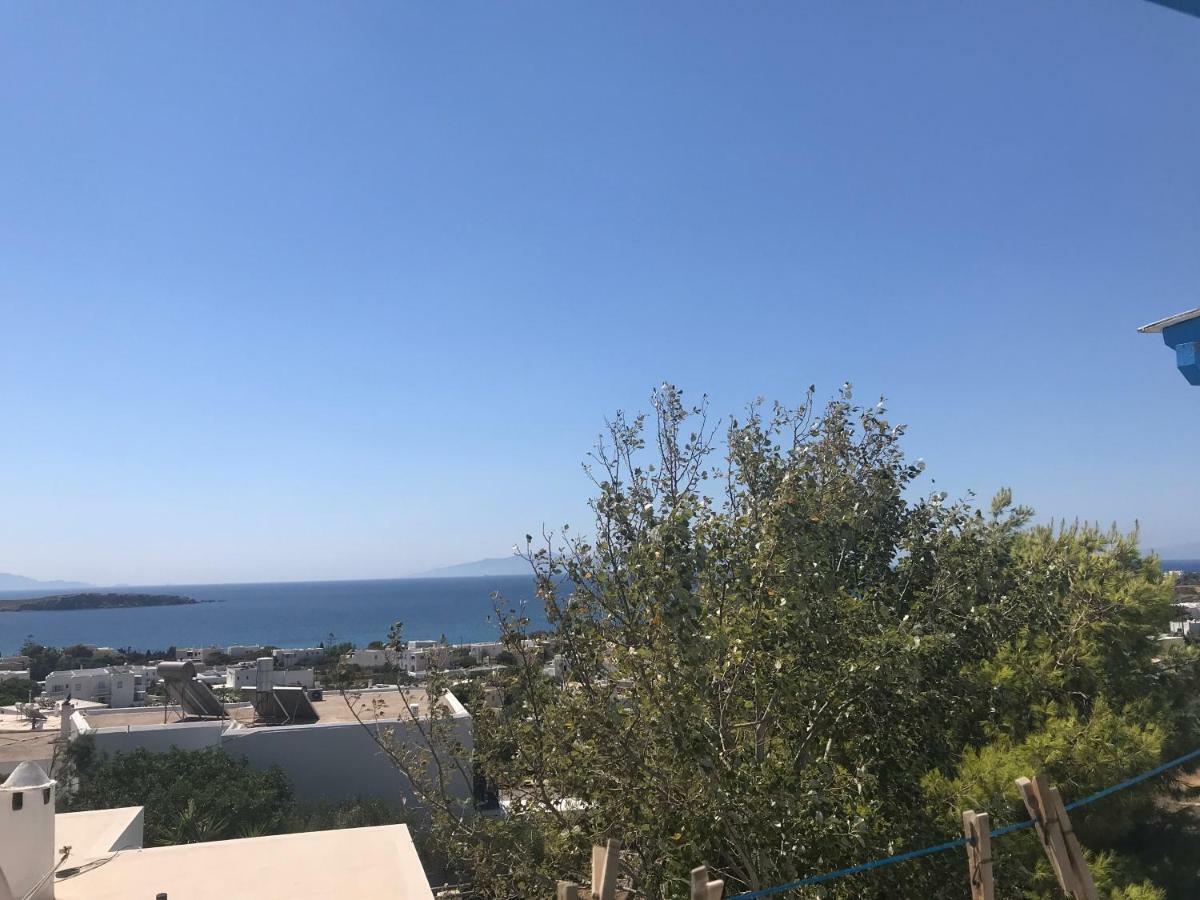 Studios Panorama Дриос Экстерьер фото